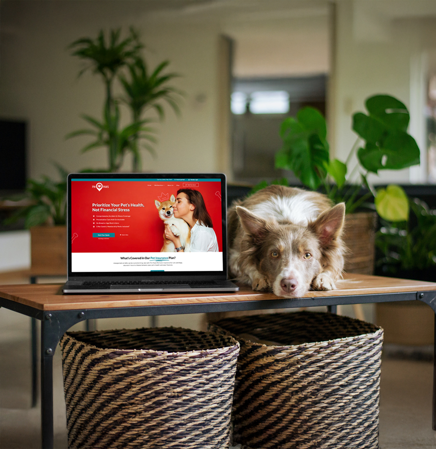 Pin-Paws-Affiliate-Site-Image-2025-V3